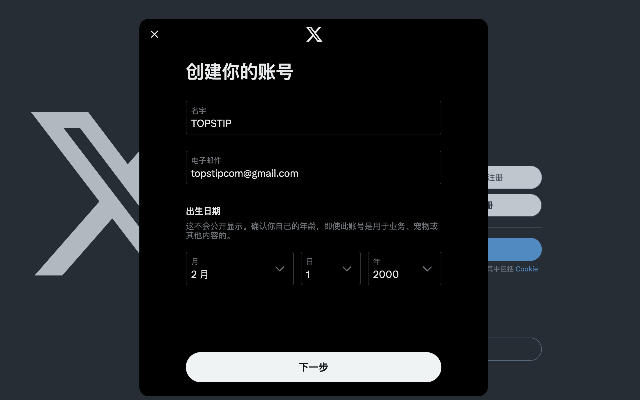 Twitter (X) 推特网页版超详细中文使用教程