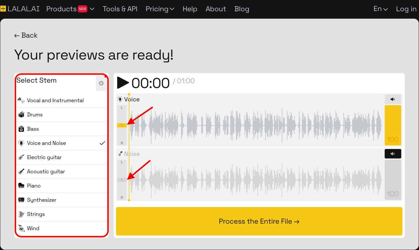 Step 4-Preview Audio-2