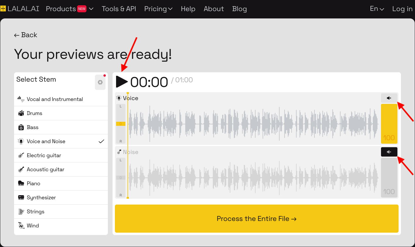 Step 4-Preview Audio-1