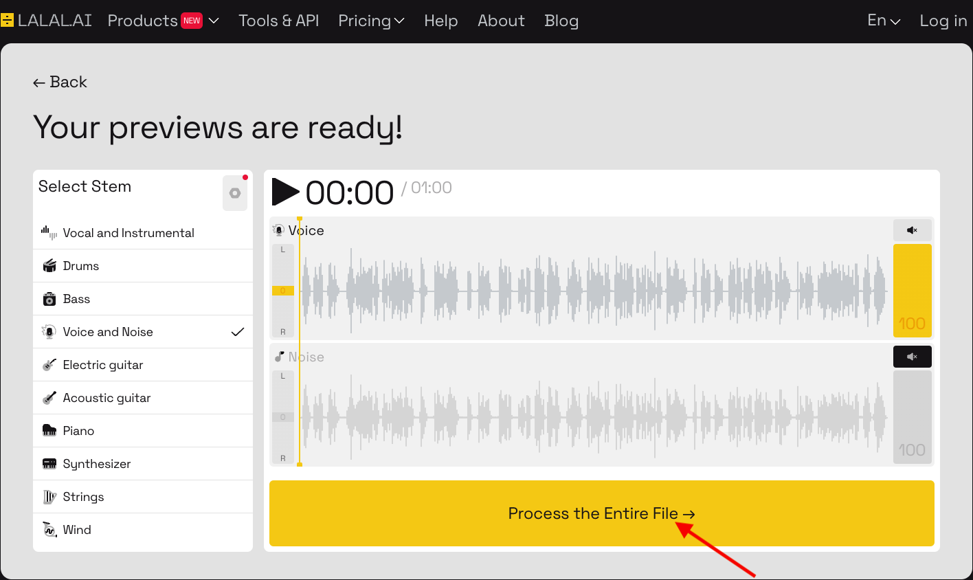 Step 5-Process the File-1