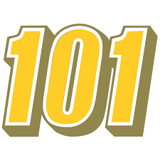 101domain logo