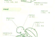 10 天背完 3000 英语单词 - 图文并茂 分类快速理解记忆 (PDF 下载)｜TopsTip