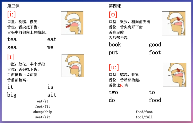 48个 国际音标口型图