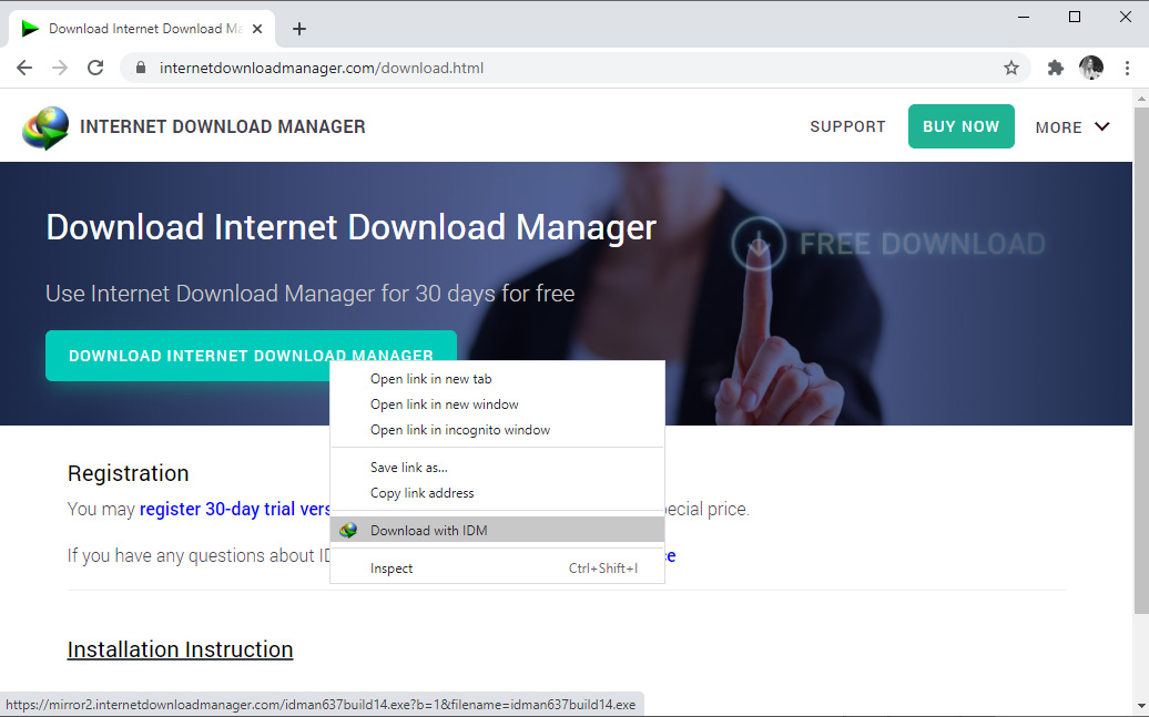 Internet Download Manager (IDM)视频解析