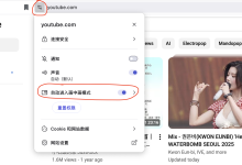 如何关闭 Brave 浏览器的自动画中画功能|TopsTip