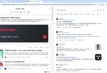 Chrome浏览器单Tab标签页,分成左右两屏功能设置方法|TopsTip